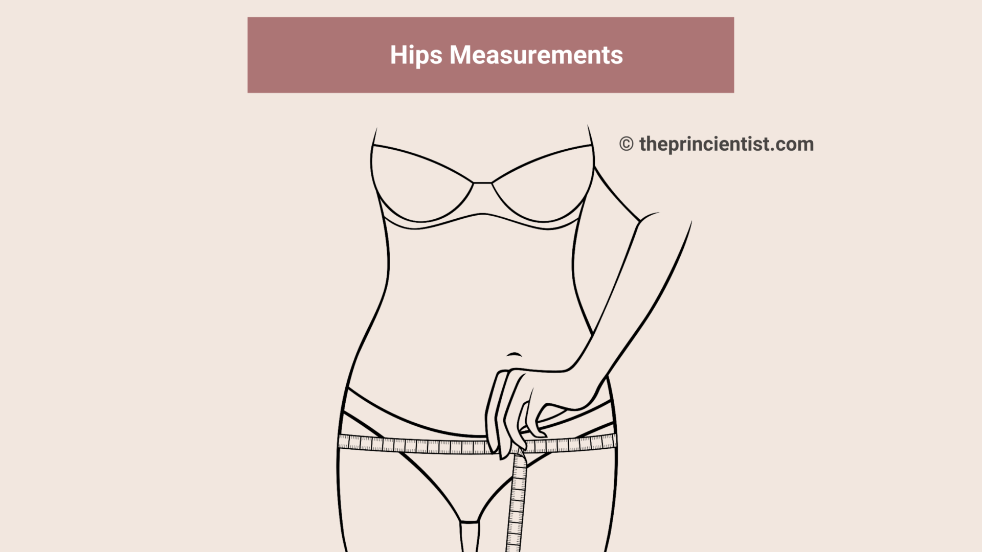 How To Find Your Body Shape Stepbystep guide The Princientist