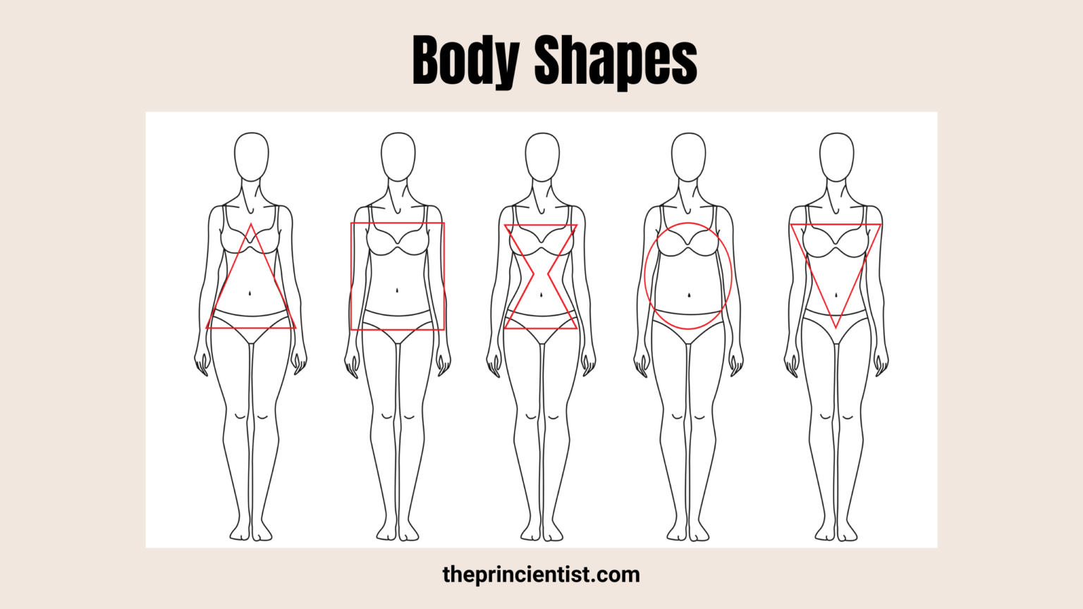 Body Shapes Explained – Everything you need to know - The Princientist