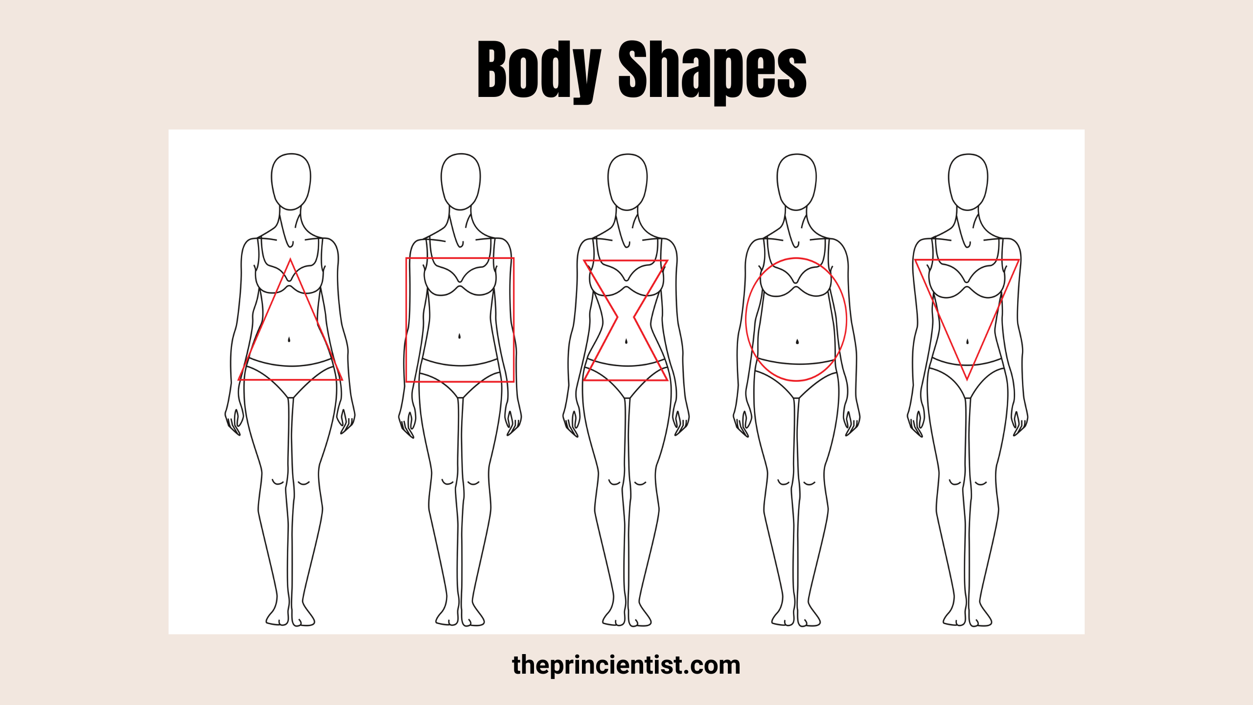 what are body shapes - representative image