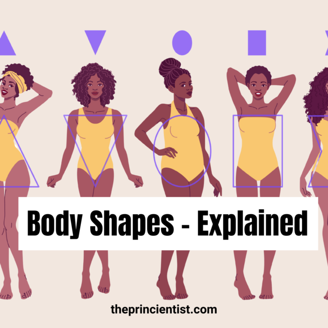 body shapes explained - featured image