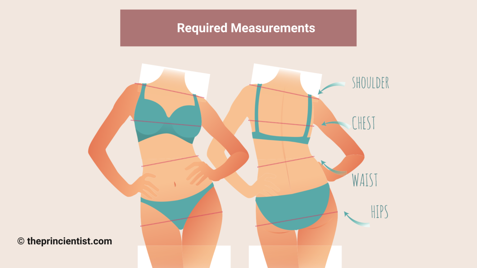 How to find your body shape required measurements
