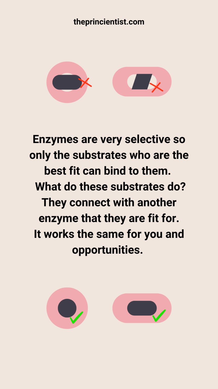 how to deal with rejection quote. illustrative image of enzymes connected to the wrong subtrate and below the enzymes connected to the correct substrate.
