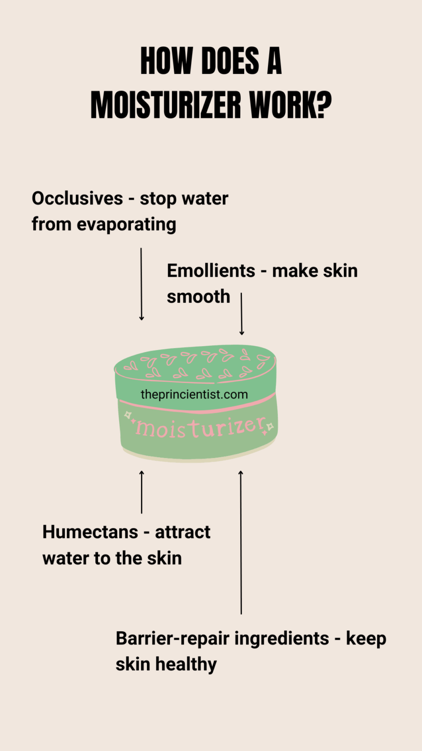 what is a moisturizer - how does a moisturizer work