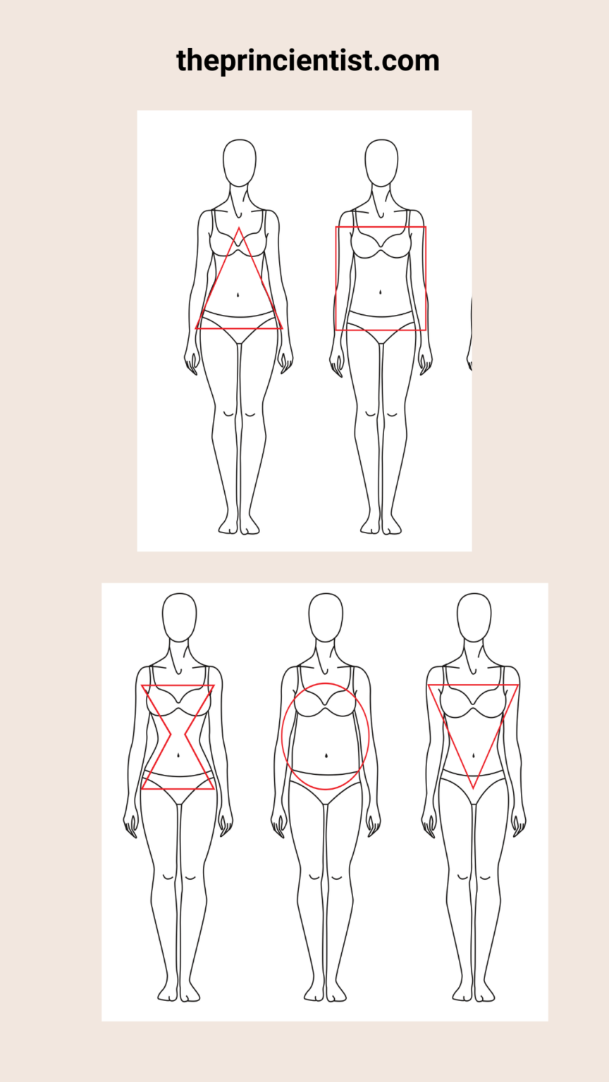 all body shapes - explanation of all the characteristics of this body shape using a line that oulines the shoulders, waits, hips and bust