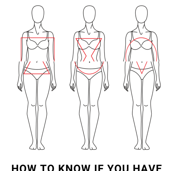 in between body shapes