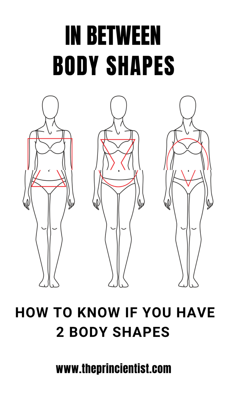 in between body shapes